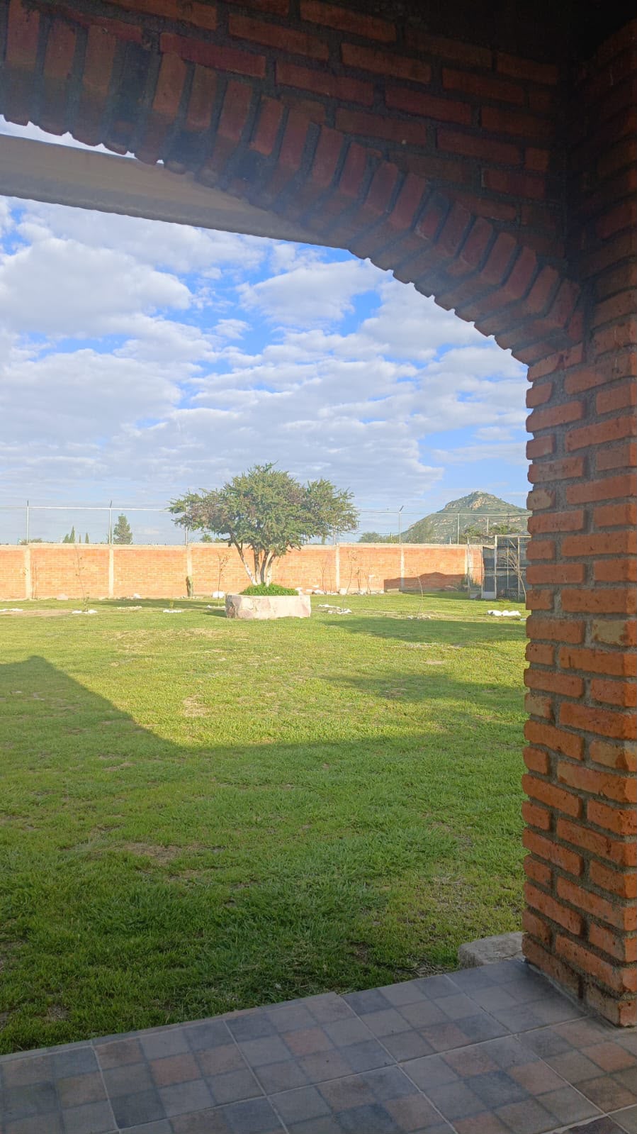 Vista al jardín desde la terraza de ladrillo