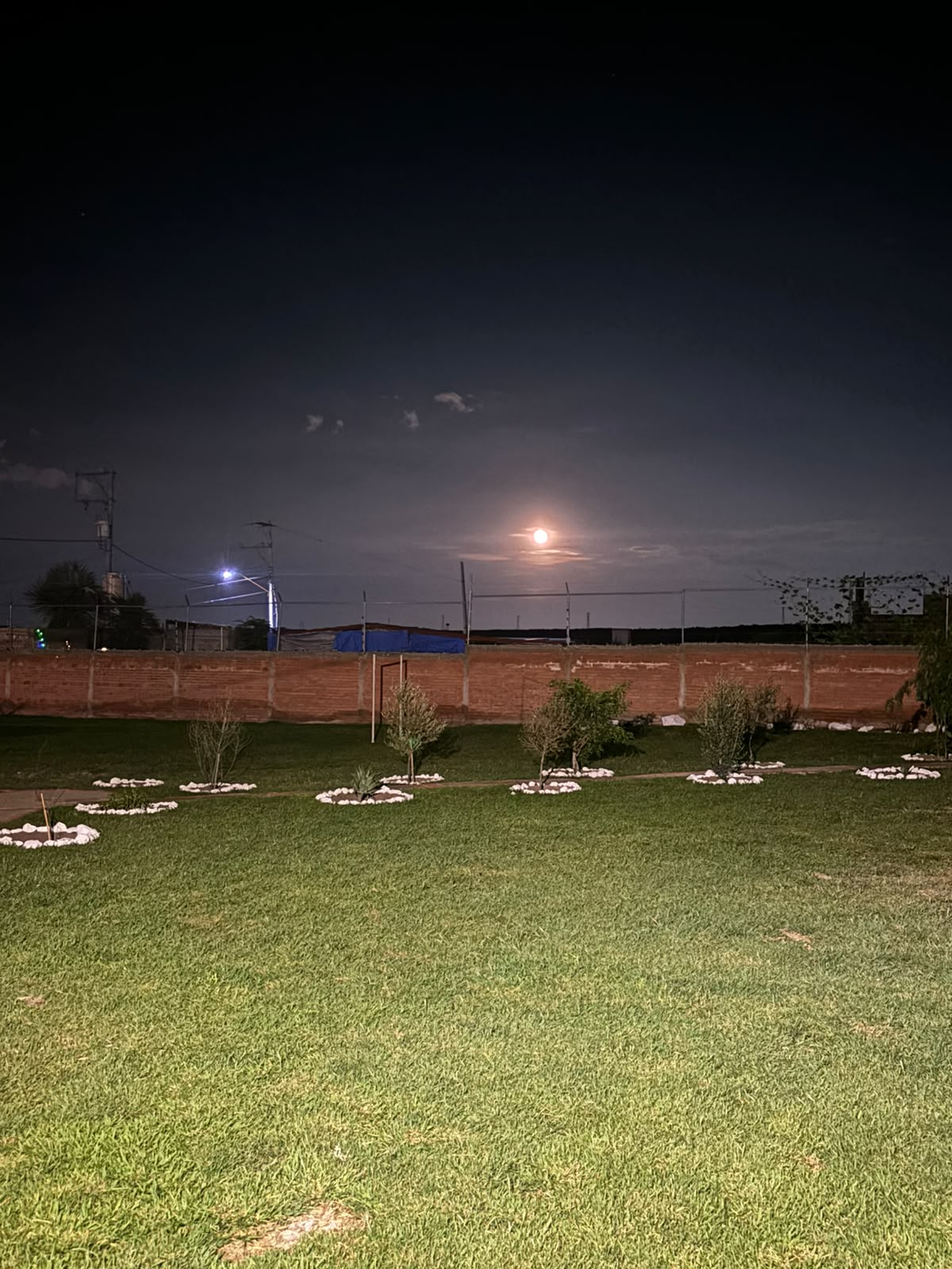 Jardín iluminado durante la noche